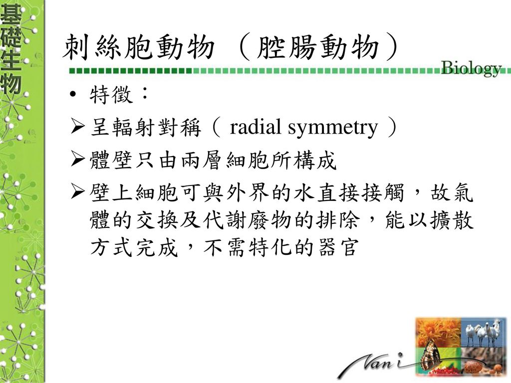 第六節動物動物節肢動物脊椎動物 Ppt Download