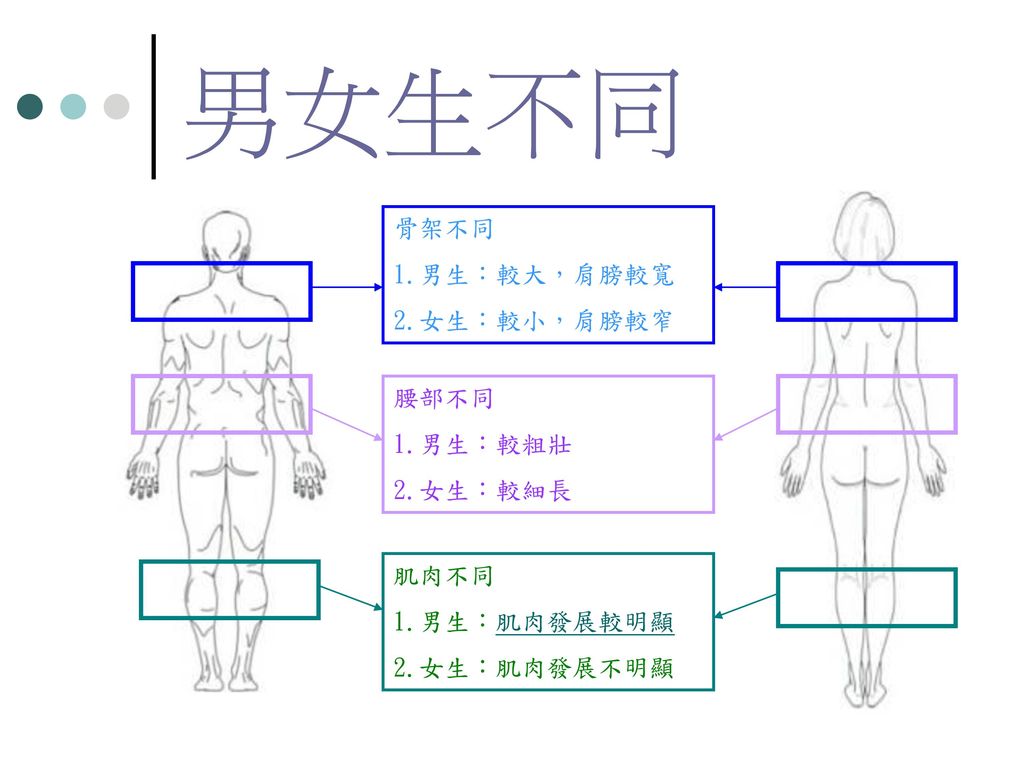 男女生不同 骨架不同 1.男生：較大，肩膀較寬 2.女生：較小，肩膀較窄 腰部不同 1.男生：較粗壯 2.女生：較細長 肌肉不同