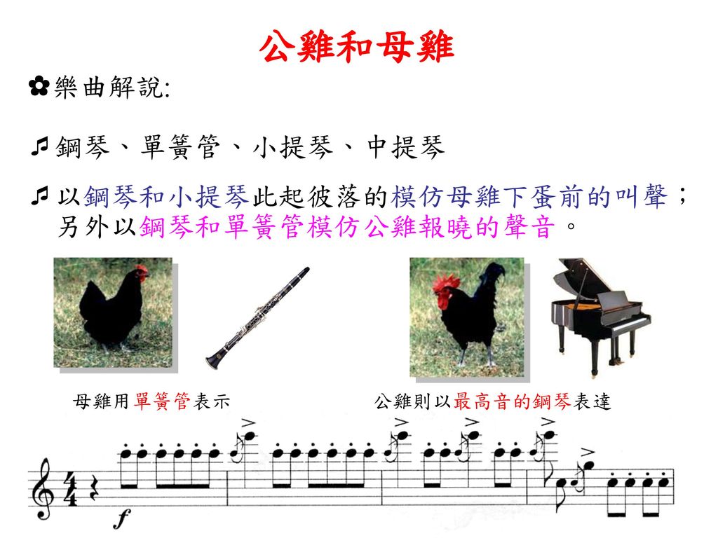 公雞和母雞 ✿樂曲解說: 鋼琴、單簧管、小提琴、中提琴 以鋼琴和小提琴此起彼落的模仿母雞下蛋前的叫聲；