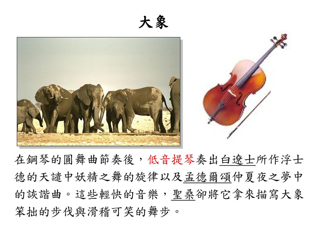 大象 在鋼琴的圓舞曲節奏後，低音提琴奏出白遼士所作浮士 德的天譴中妖精之舞的旋律以及孟德爾頌仲夏夜之夢中