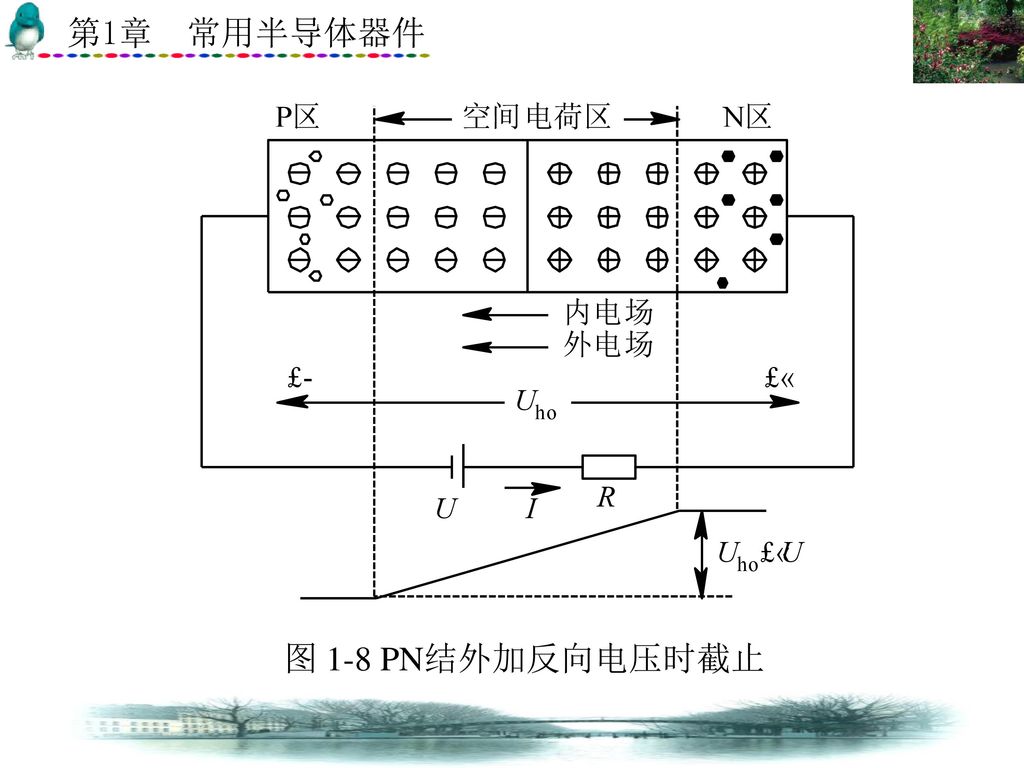 图 1-8 PN结外加反向电压时截止