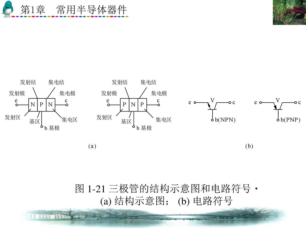 图 1-21 三极管的结构示意图和电路符号 (a) 结构示意图； (b) 电路符号