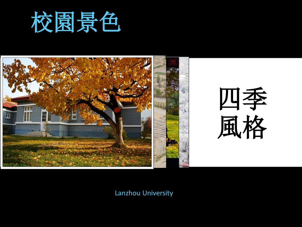 校園景色 四季風格 Lanzhou University