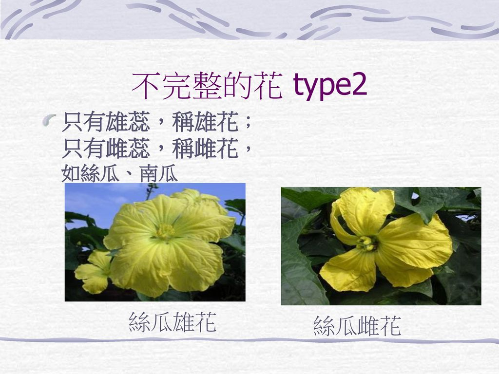 不完整的花 type2 只有雄蕊，稱雄花；只有雌蕊，稱雌花，如絲瓜、南瓜 絲瓜雄花 絲瓜雌花