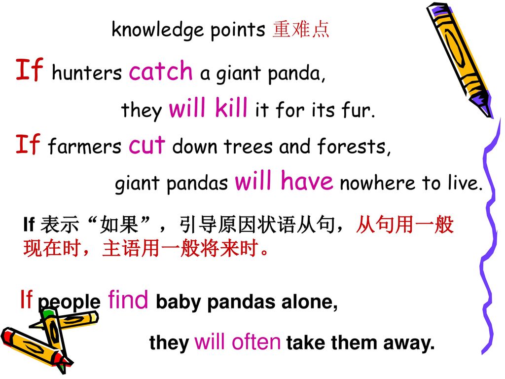 If hunters catch a giant panda,