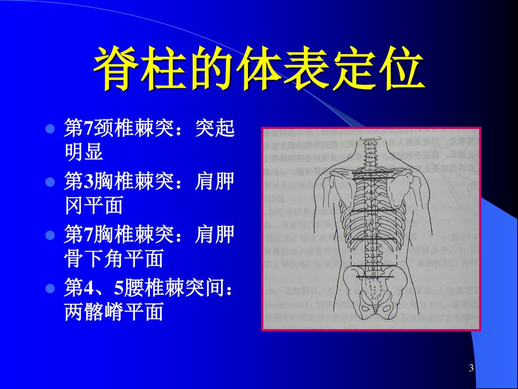 脊柱和四肢spine Extremities Ppt Download