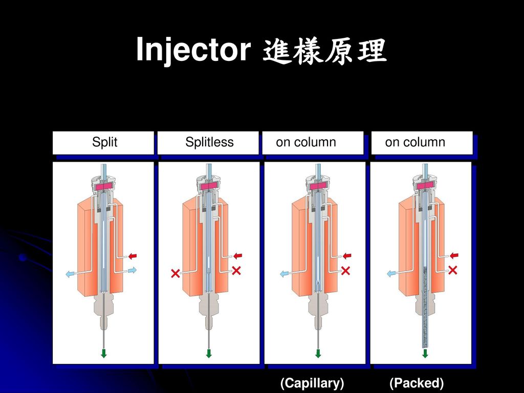 Injector 進樣原理 Split Splitless on column (Capillary) (Packed)