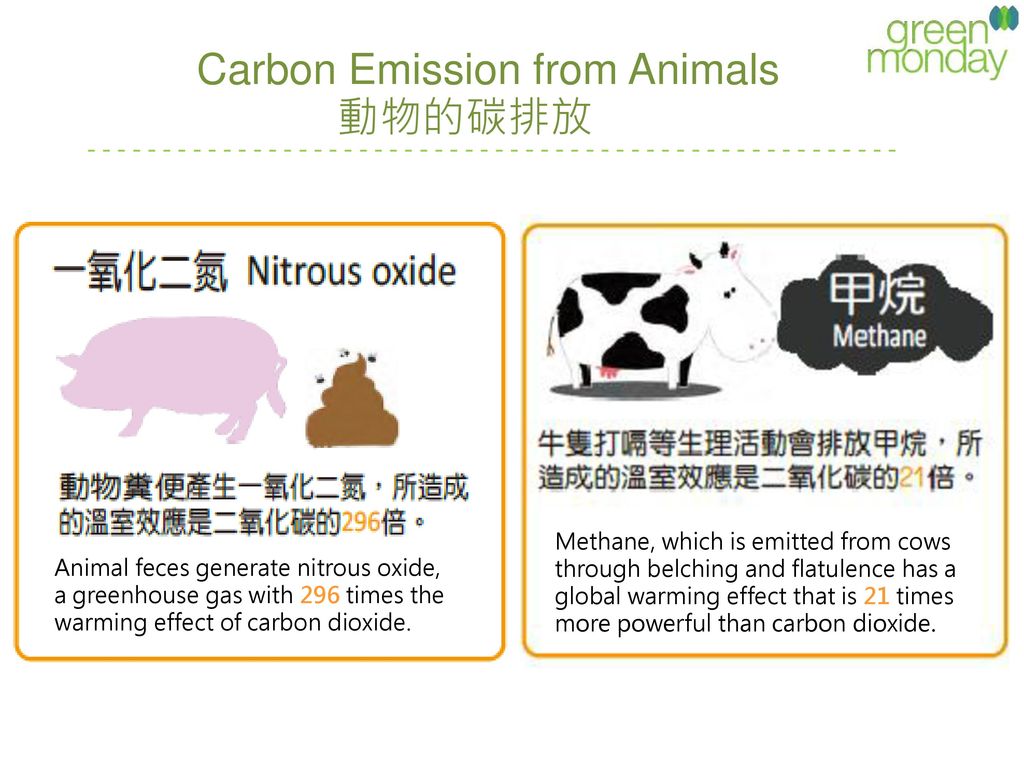 Carbon Emission from Animals