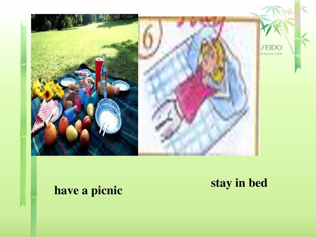 stay in bed have a picnic
