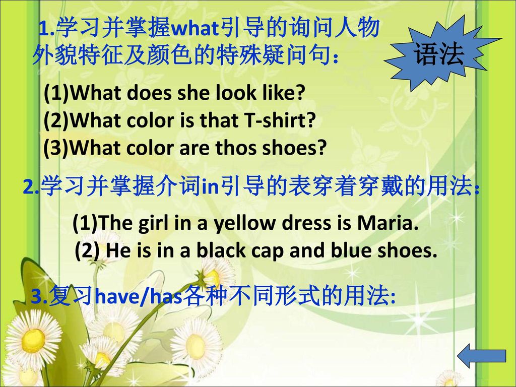 语法 (1)What does she look like (2)What color is that T-shirt