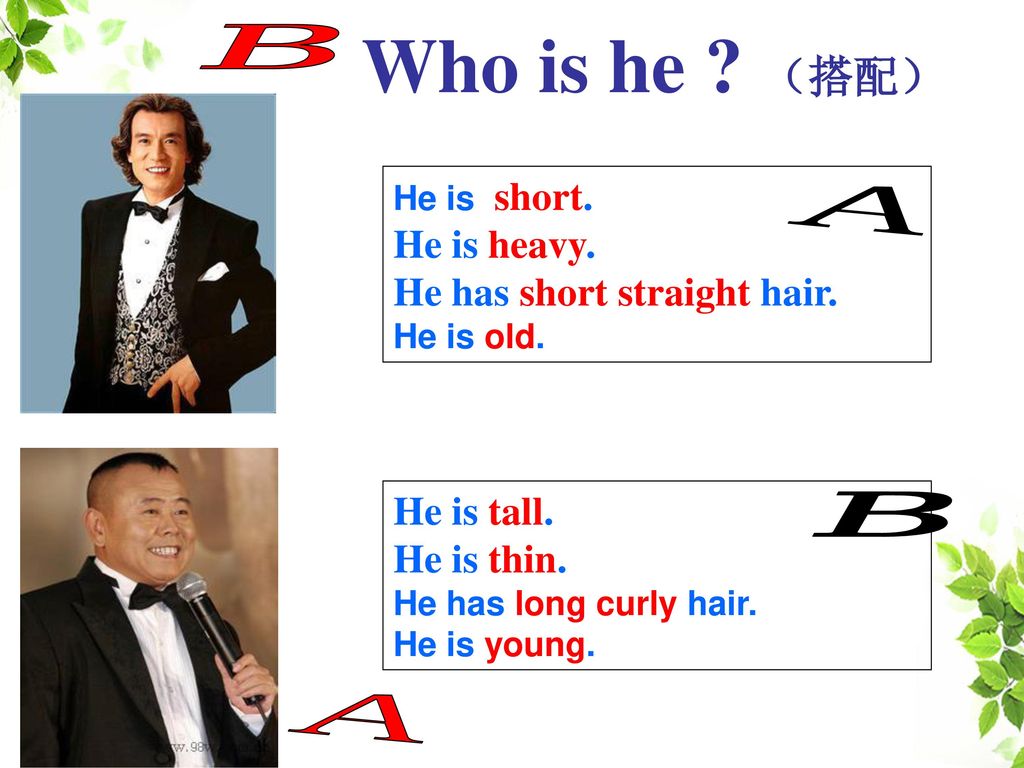Who is he （搭配） B A B A He is heavy. He has short straight hair.