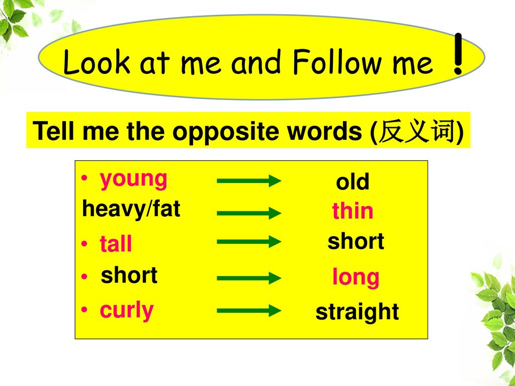 Tell me the opposite words (反义词)