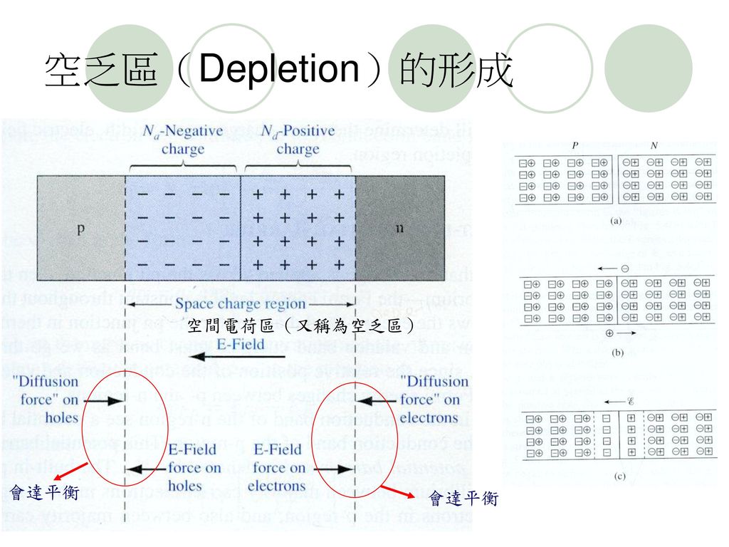 空乏區（Depletion）的形成 空間電荷區（又稱為空乏區） 會達平衡
