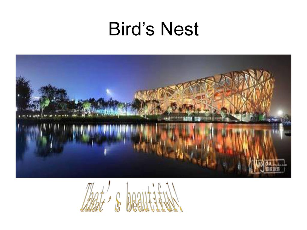 Bird’s Nest That’s beautiful!