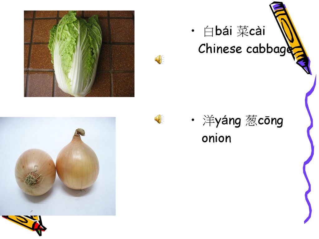 白bái 菜cài Chinese cabbage 洋yáng 葱cōng onion