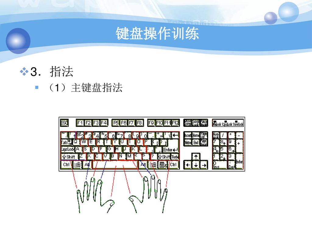 键盘操作训练 3．指法 （1）主键盘指法