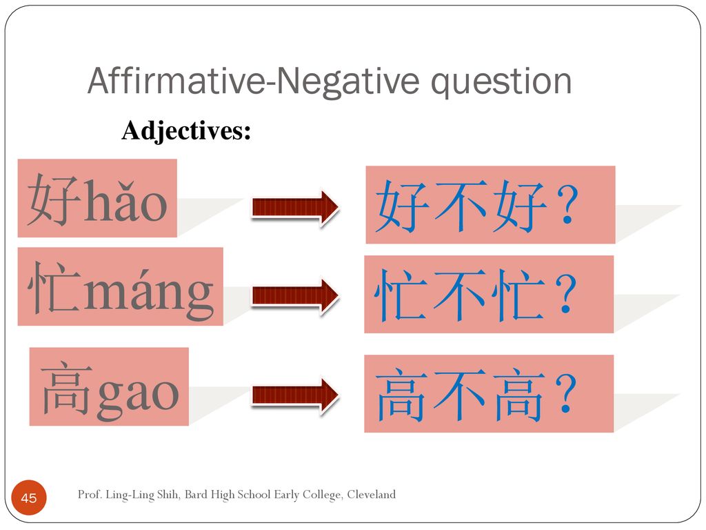 Affirmative-Negative question
