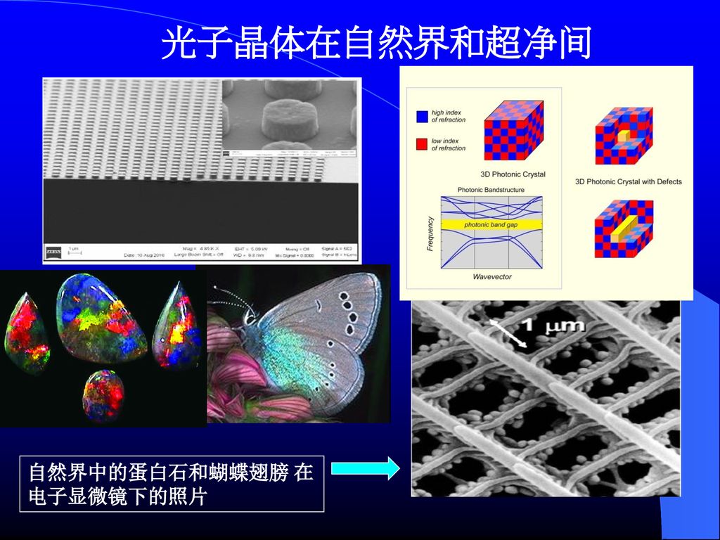 光子晶体在自然界和超净间 自然界中的蛋白石和蝴蝶翅膀 在电子显微镜下的照片