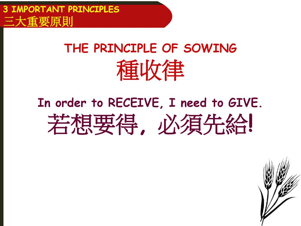 THE PRINCIPLE OF SOWING In order to RECEIVE, I need to GIVE.