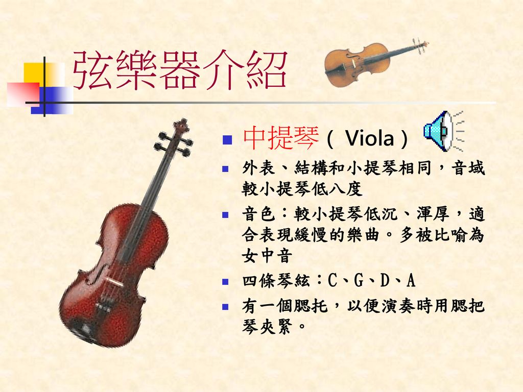 弦樂器介紹 中提琴（ Viola） 外表、結構和小提琴相同，音域較小提琴低八度