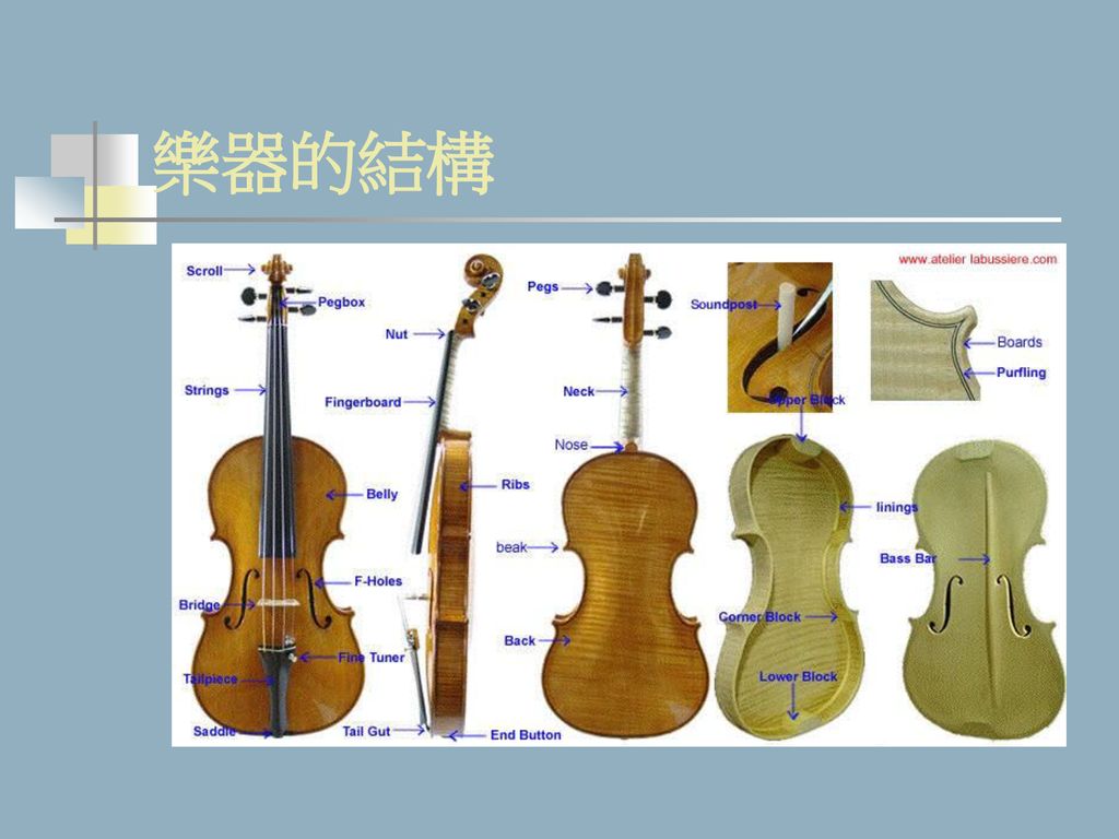 大提琴构造图片