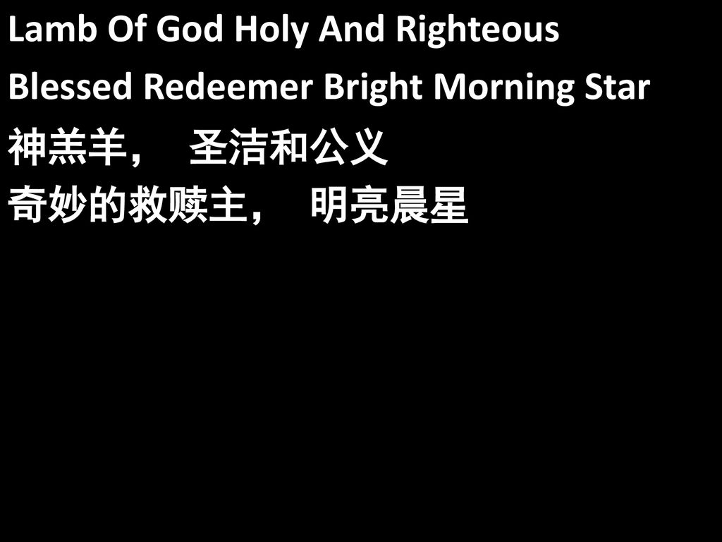 Lamb Of God Holy And Righteous