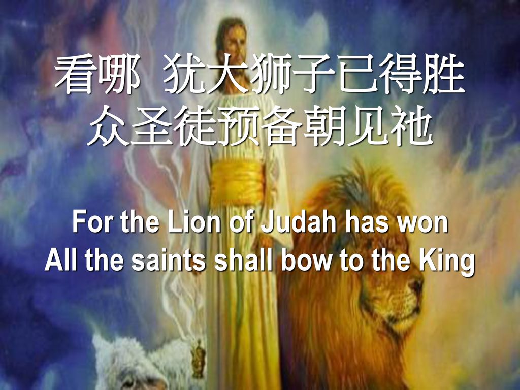 For the Lion of Judah has won All the saints shall bow to the King