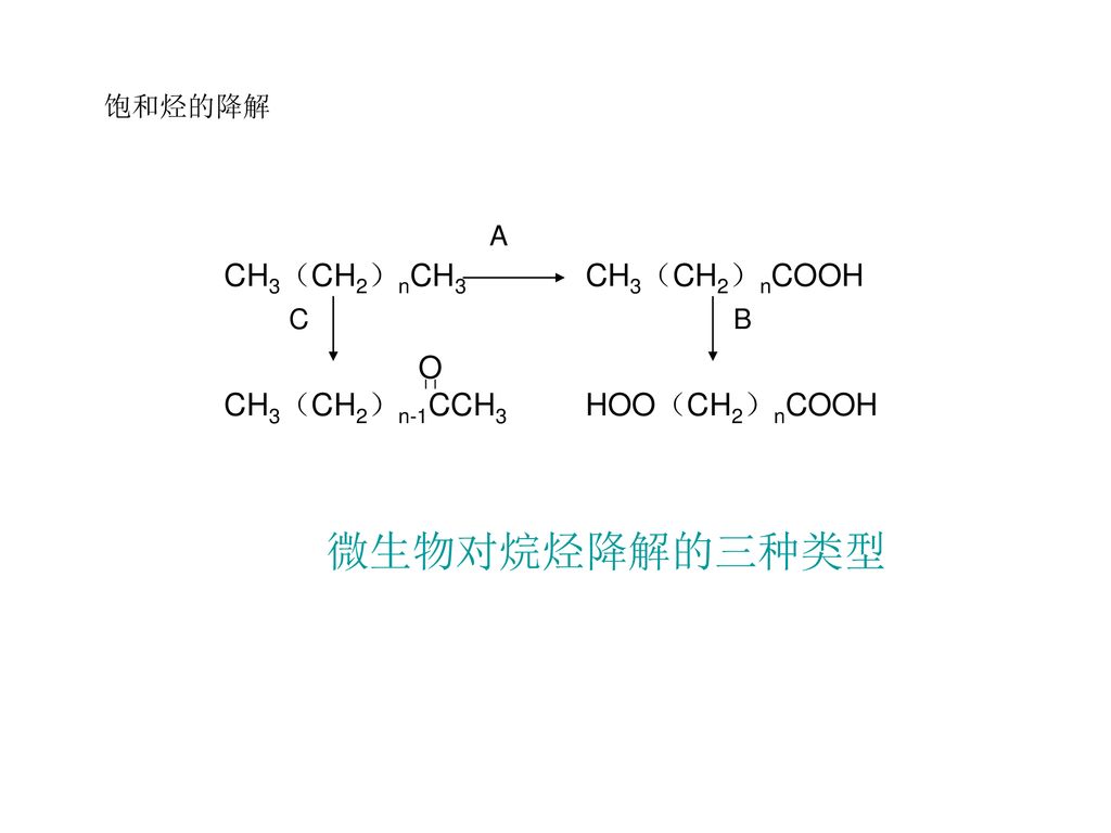 微生物对烷烃降解的三种类型 CH3（CH2）nCH3 CH3（CH2）nCOOH HOO（CH2）nCOOH CH3（CH2）n-1CCH3