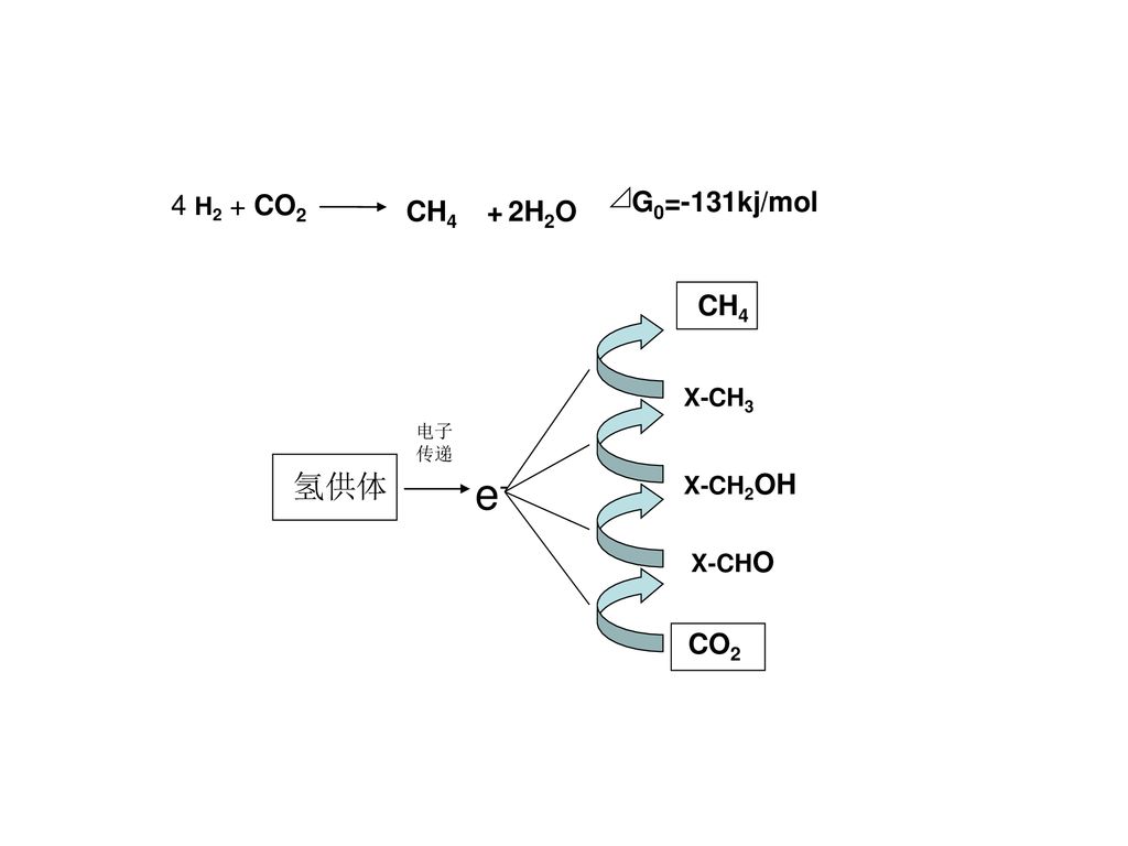e- 氢供体 4 H2 + CO2 G0=-131kj/mol CH4 + 2H2O CH4 CO2 X-CH3 X-CH2OH X-CHO