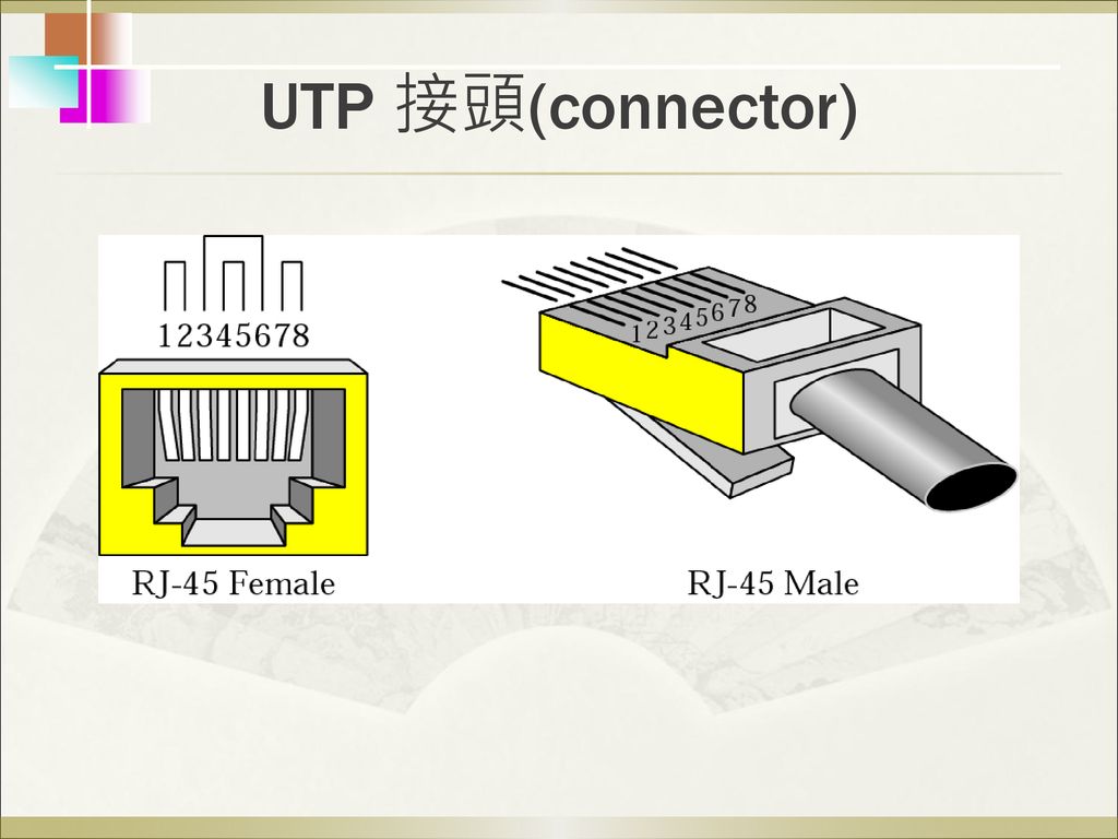 UTP 接頭(connector)