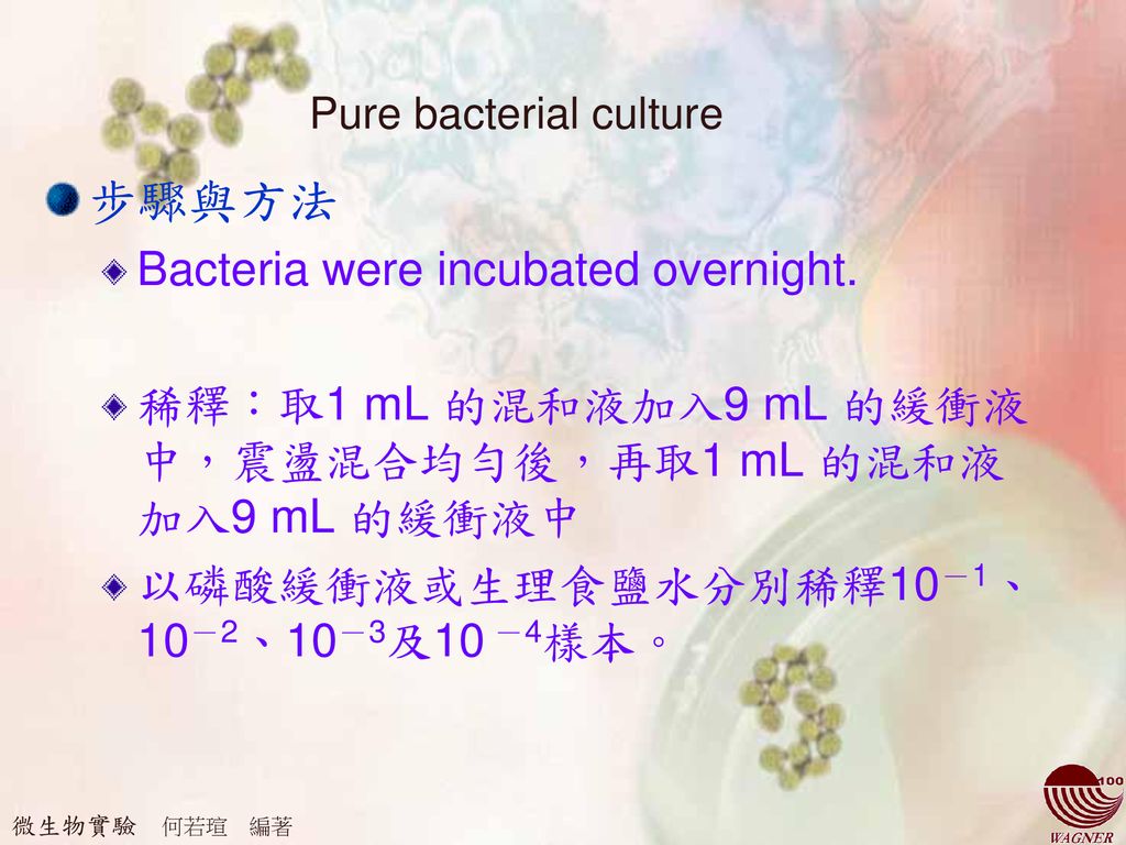 步驟與方法 Bacteria were incubated overnight.