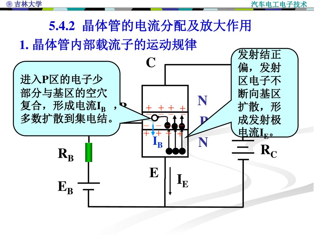 C Ec N B P RC RB E IE EB 晶体管的电流分配及放大作用 1. 晶体管内部载流子的运动规律 IB