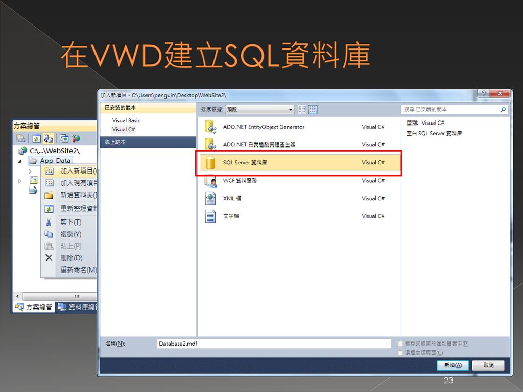 在VWD建立SQL資料庫