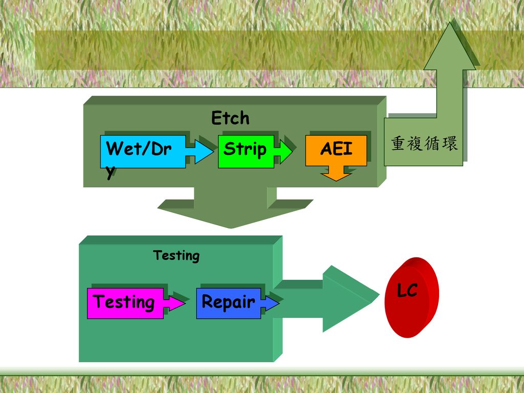 Testing Etch LC 重複循環 Wet/Dry Strip AEI Repair