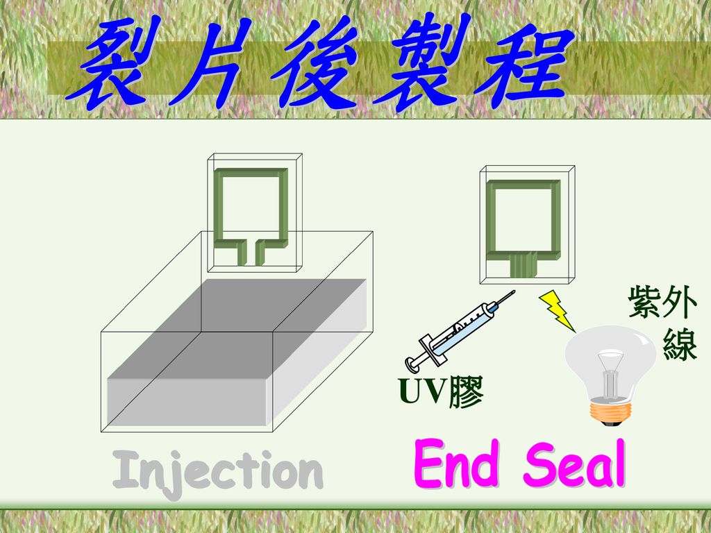 裂片後製程 紫外 線 UV膠 End Seal Injection