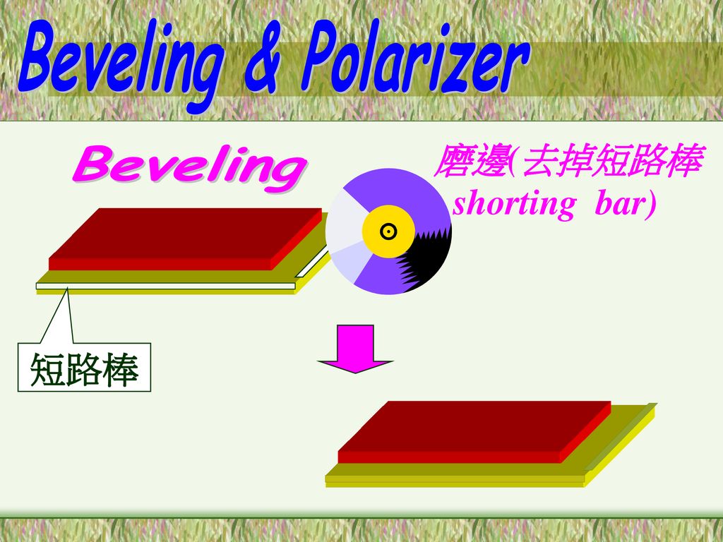 Beveling & Polarizer 磨邊(去掉短路棒 shorting bar) Beveling 短路棒