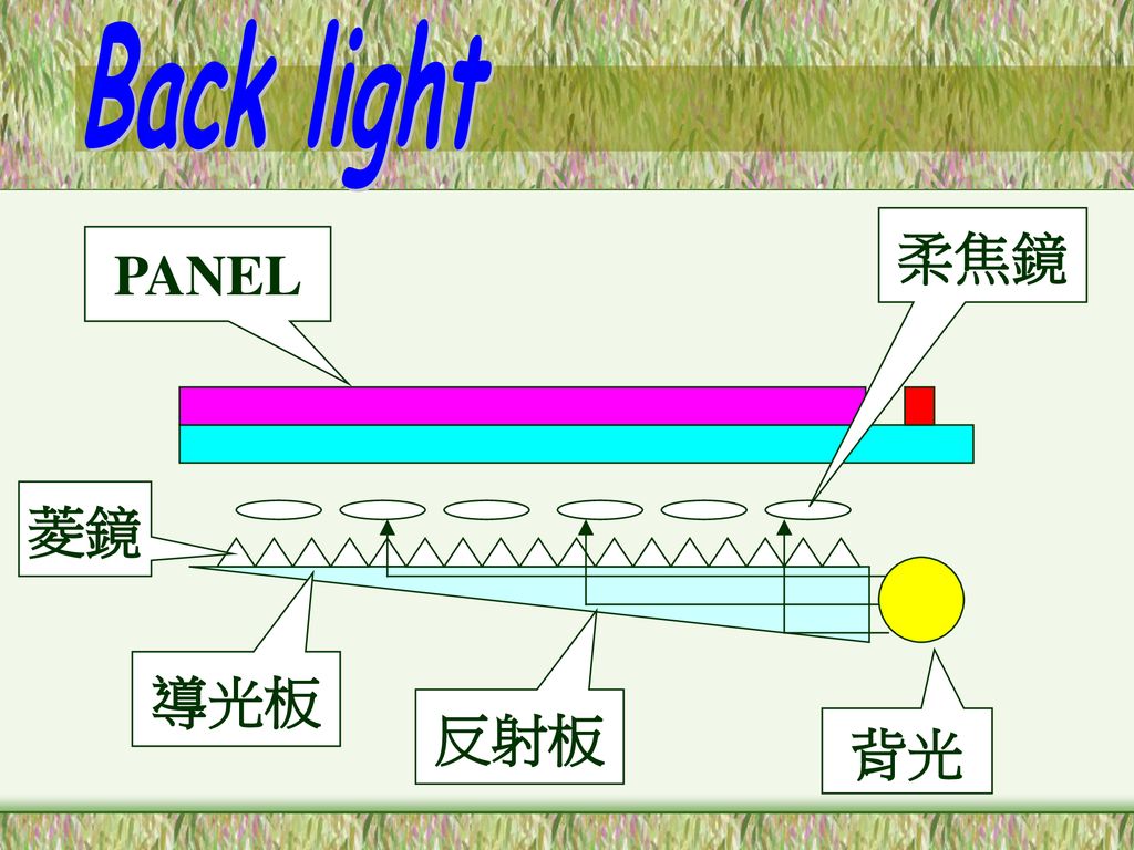 Back light 柔焦鏡 PANEL 菱鏡 導光板 反射板 背光