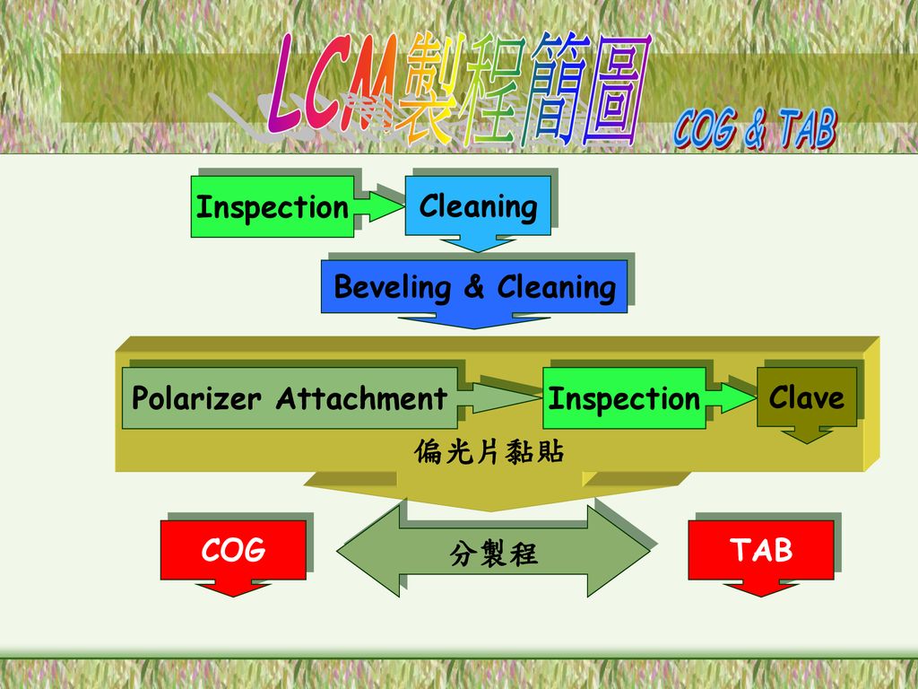 LCM製程簡圖 COG & TAB 偏光片黏貼 Inspection Cleaning Beveling & Cleaning 分製程