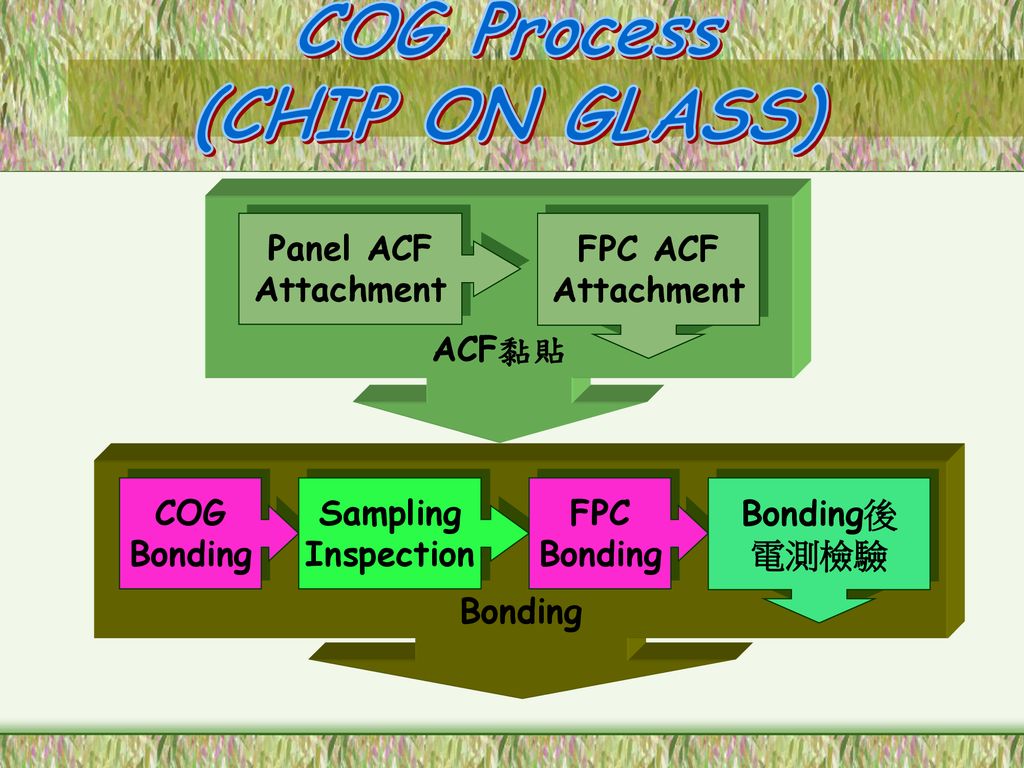 COG Process (CHIP ON GLASS)