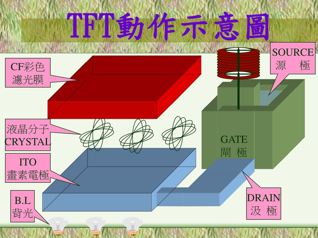 TFT動作示意圖 SOURCE 源 極 CF彩色 濾光膜 液晶分子 CRYSTAL GATE 閘 極 ITO 畫素電極 DRAIN B.L