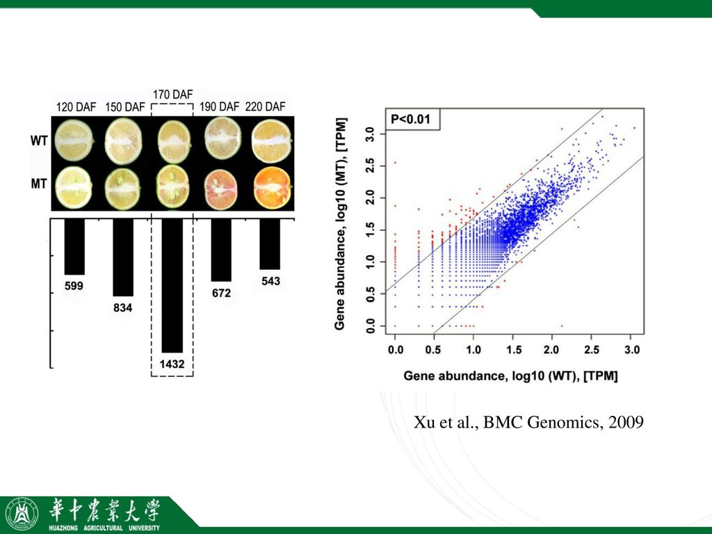 Xu et al., BMC Genomics, 2009