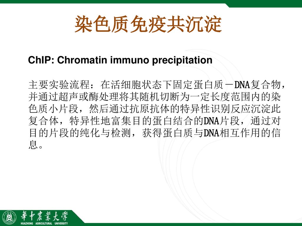 染色质免疫共沉淀 ChIP: Chromatin immuno precipitation