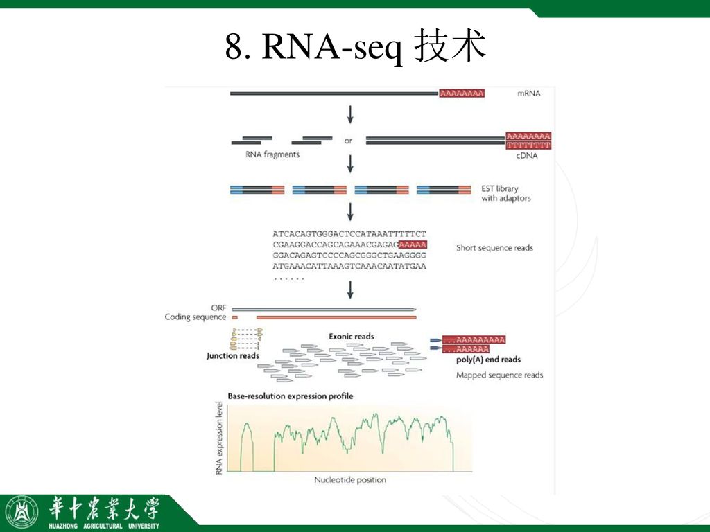 8. RNA-seq 技术