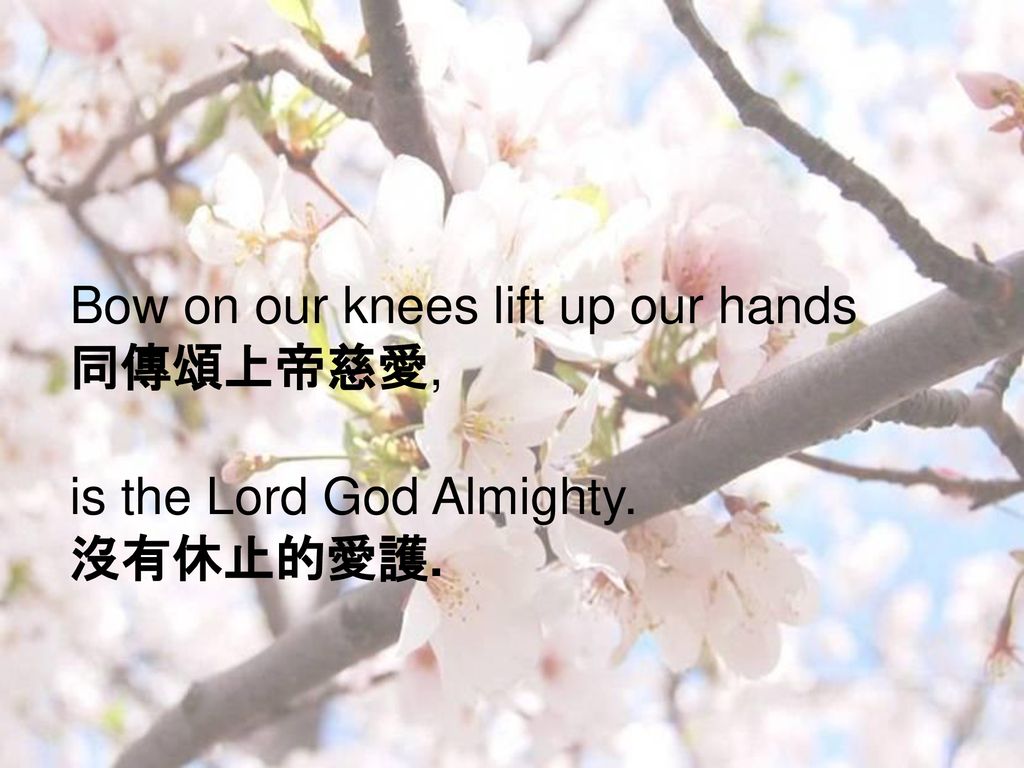 Bow on our knees lift up our hands 同傳頌上帝慈愛,