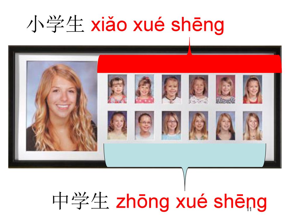 小学生 xiǎo xué shēng 中学生 zhōng xué shēng 11
