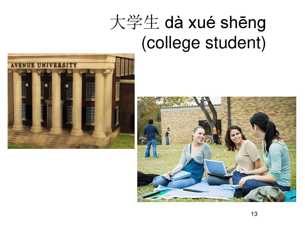 大学生 dà xué shēng (college student)