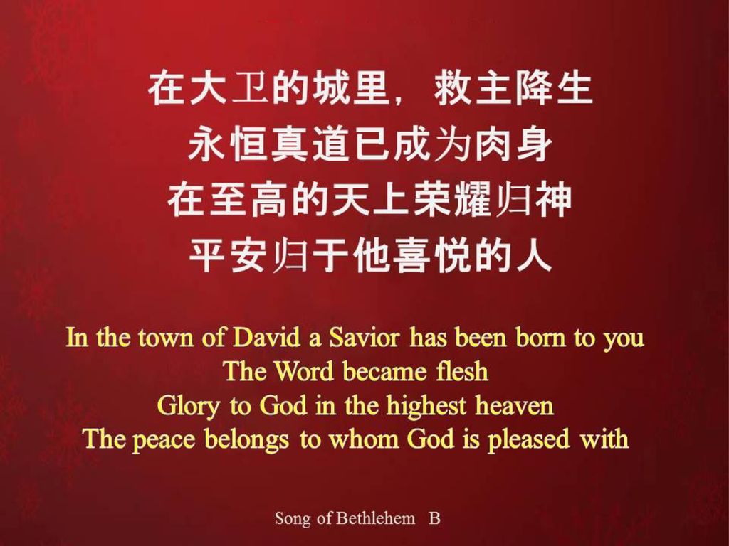 在大卫的城里，救主降生 永恒真道已成为肉身 在至高的天上荣耀归神 平安归于他喜悦的人
