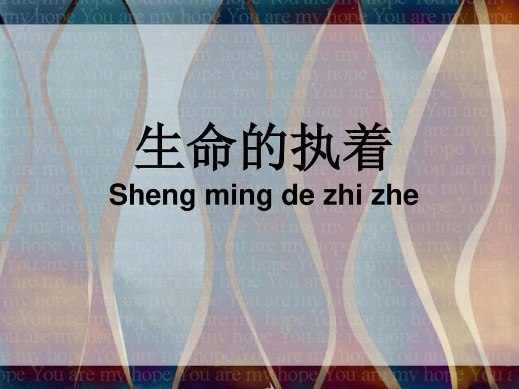 生命的执着 Sheng ming de zhi zhe