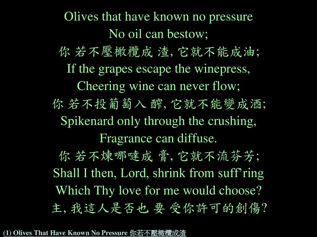 (1) Olives That Have Known No Pressure 你若不壓橄欖成渣