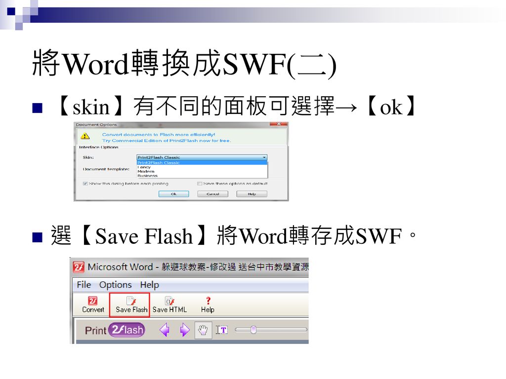 將Word轉換成SWF(二) 【skin】有不同的面板可選擇→【ok】 選【Save Flash】將Word轉存成SWF。